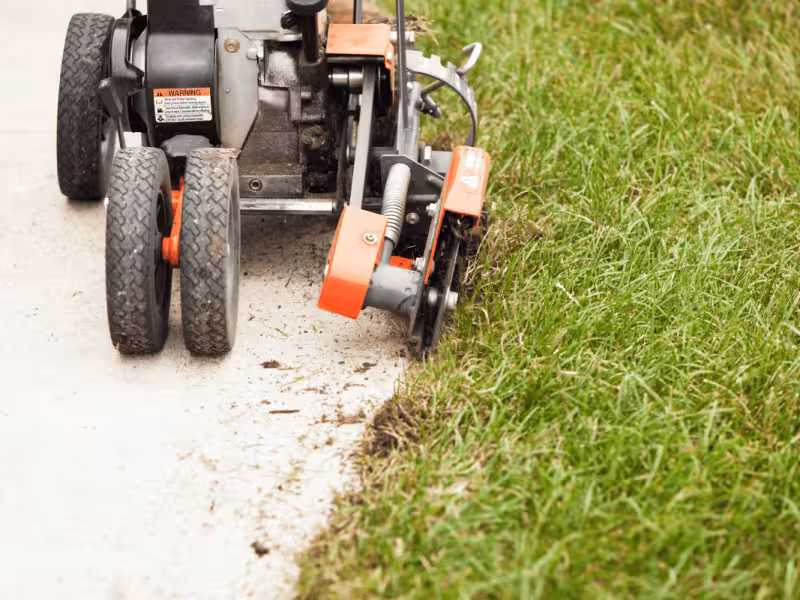 Mowing, Weed eating and Clean up